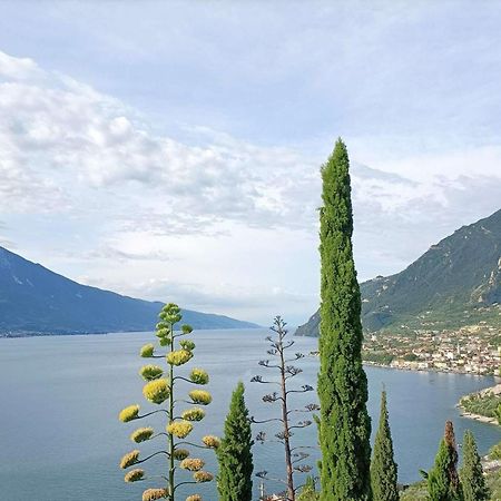 Centro Vacanze La Limonaia Limone sul Garda Dış mekan fotoğraf